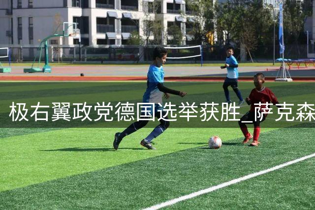 极右翼政党德国选举获胜 萨克森-安哈尔特州政治格局生变